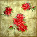 098 Weihnachten Blumen - 4-lagig (beige) - Ihr - Taschentuch